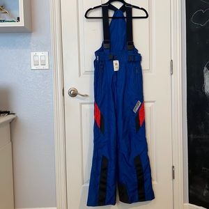 Blue and Red Spider Snow Pants